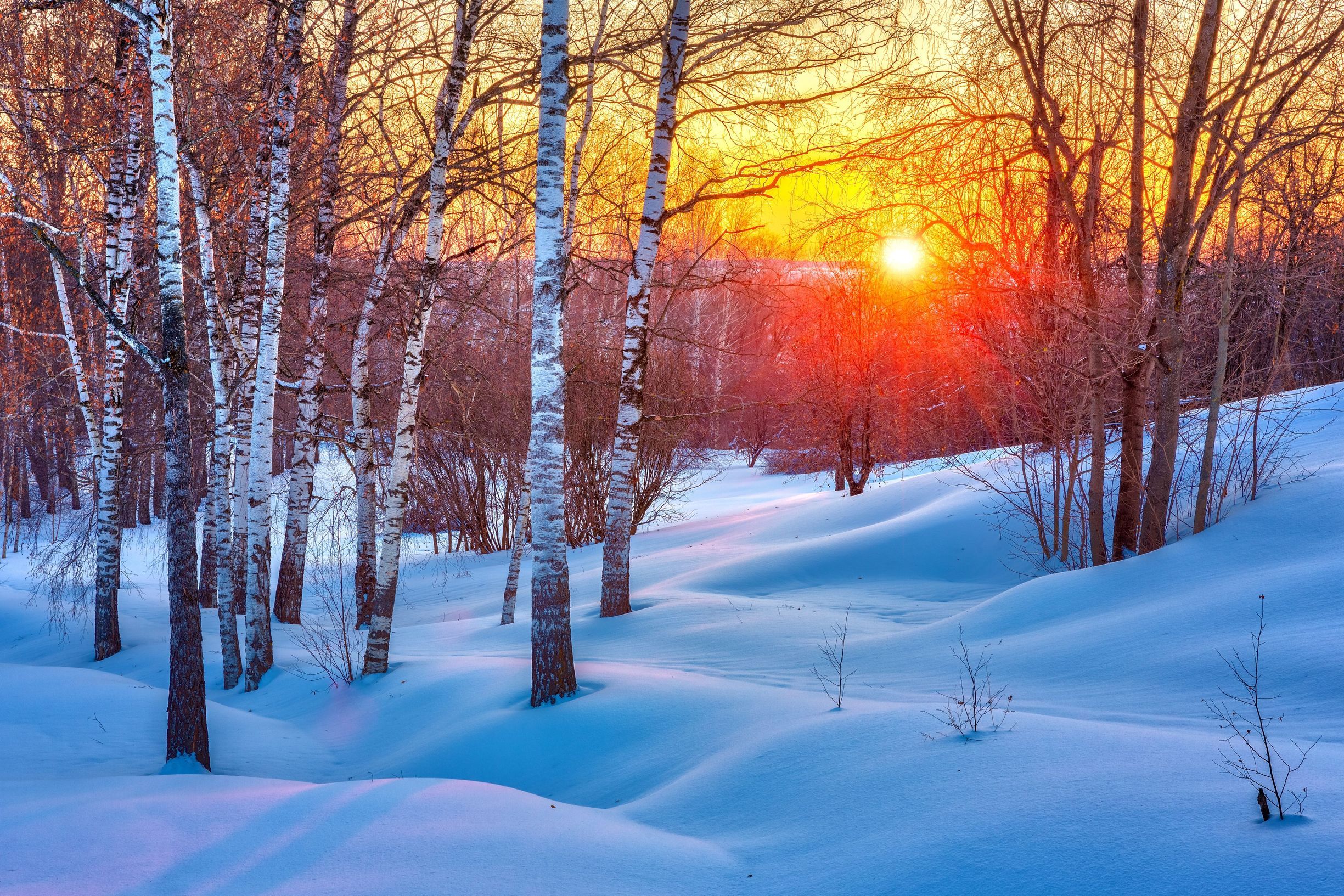 As the seasons change
