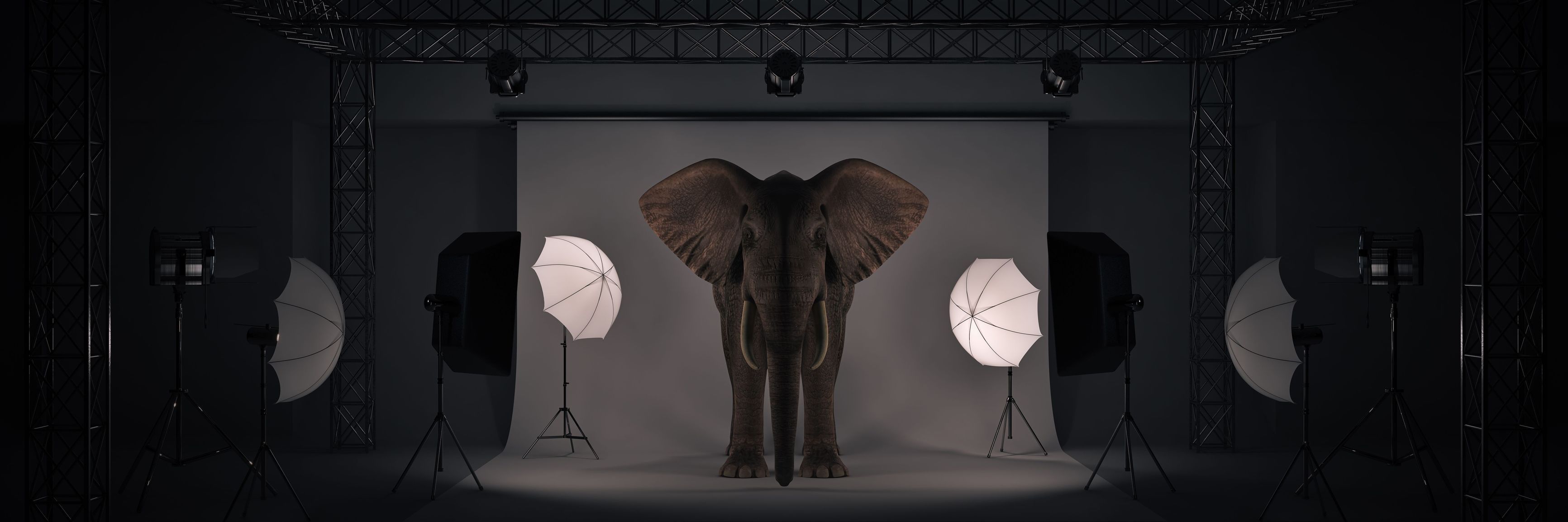 IMAGES ARE MORE MAMMOTH THAN YOU THINK
