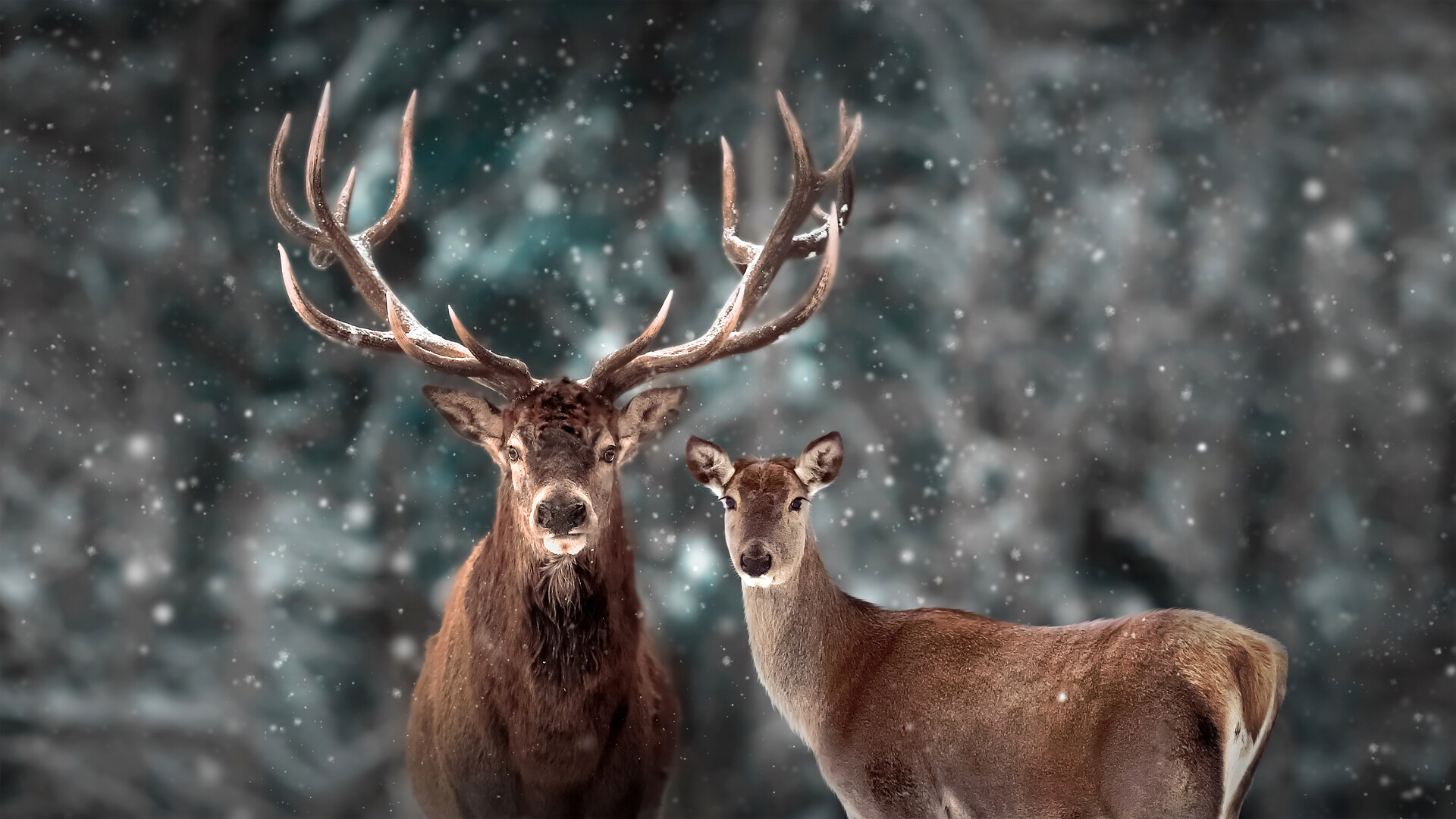 The horns of a dilemma
