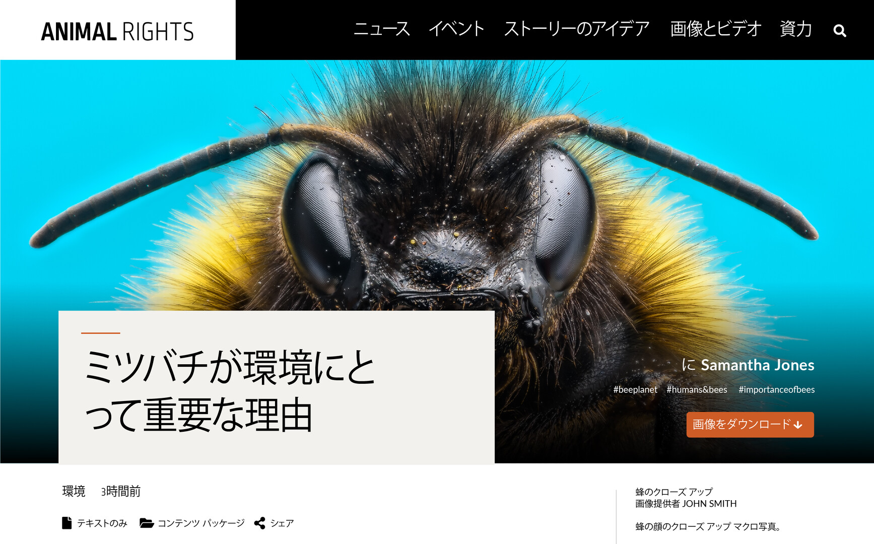 To bee or not to bee